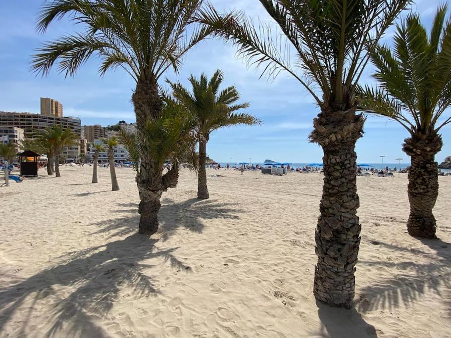 קאלה דה פינסטראט Appartement La Cala מראה חיצוני תמונה